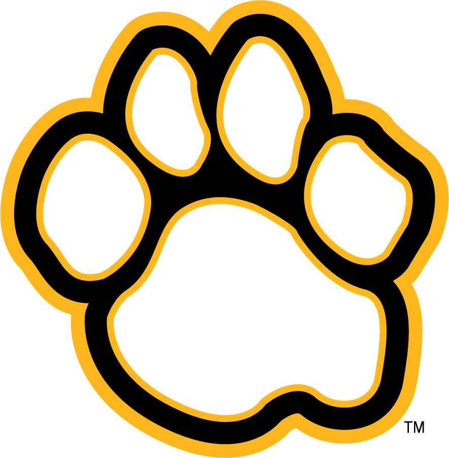 UMBC Retrievers 2010-Pres Secondary Logo diy iron on heat transfer